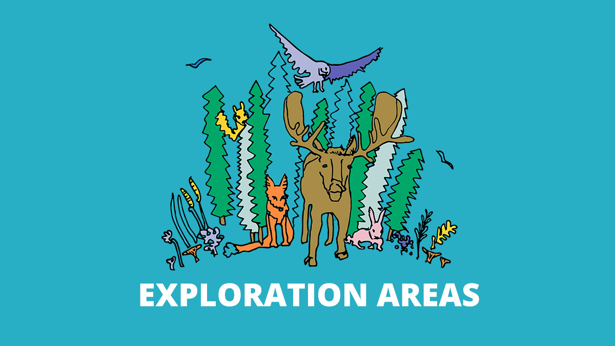 Case Exploration Areas